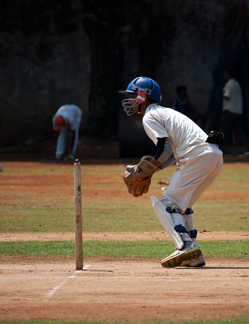 Support Systems for Mental Health in Cricket: Best Practices and Innovations